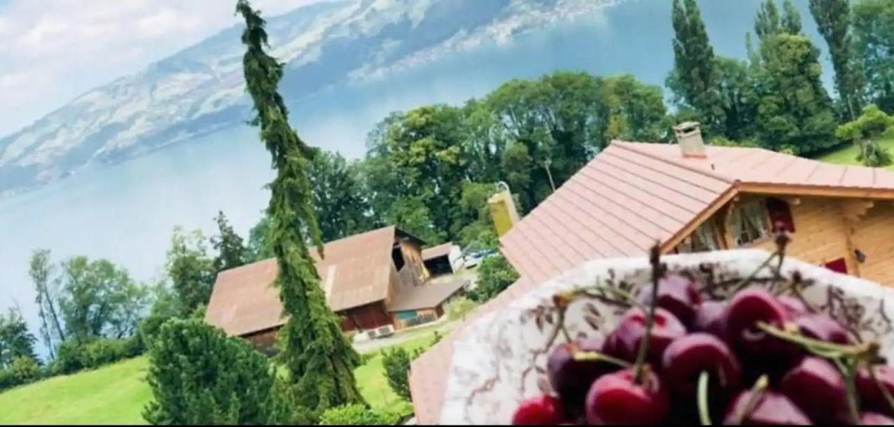 Lakeview Rustic Krattigen Dış mekan fotoğraf